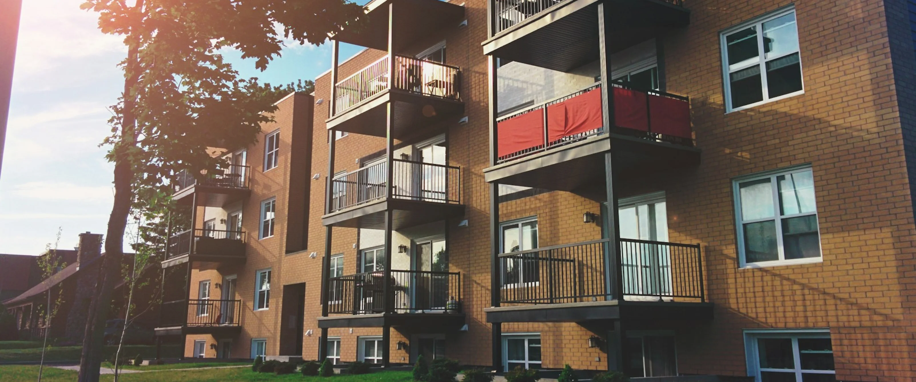 Dynamic Content Image